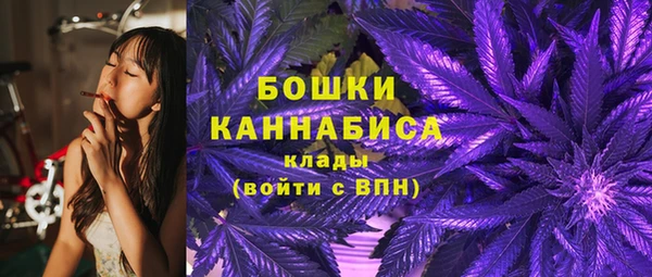 гидра Карталы