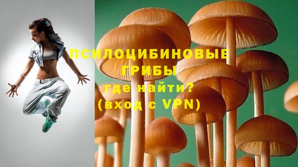 гидра Карталы